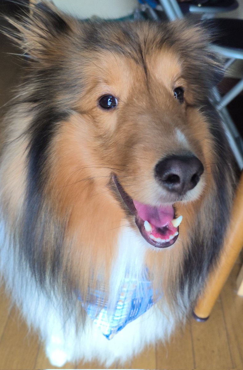 今回のトリミング後です。
ご査収願います。