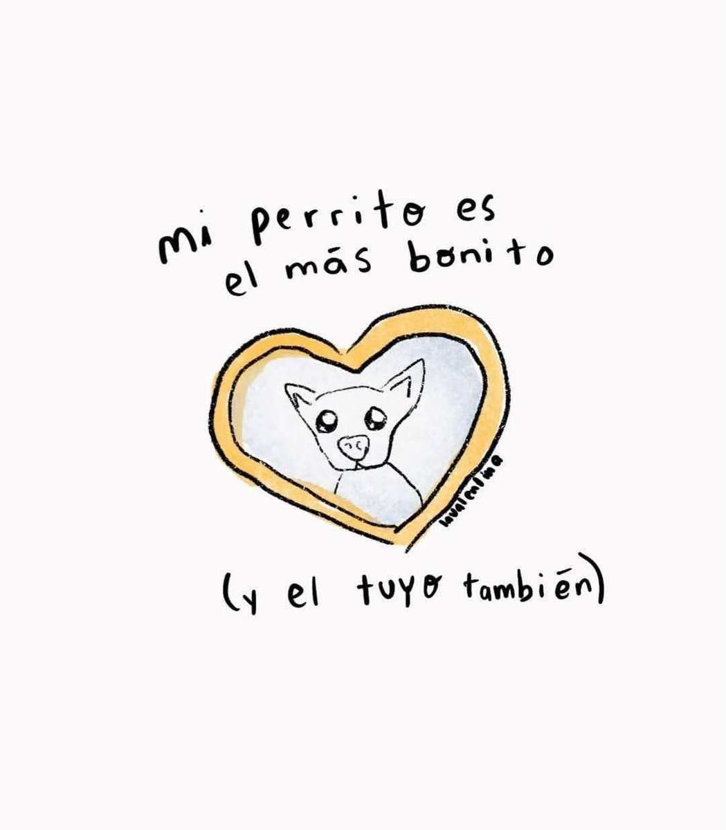 DiloConPerritos's tweet photo. https://t.co/ijQdxHA5RU
