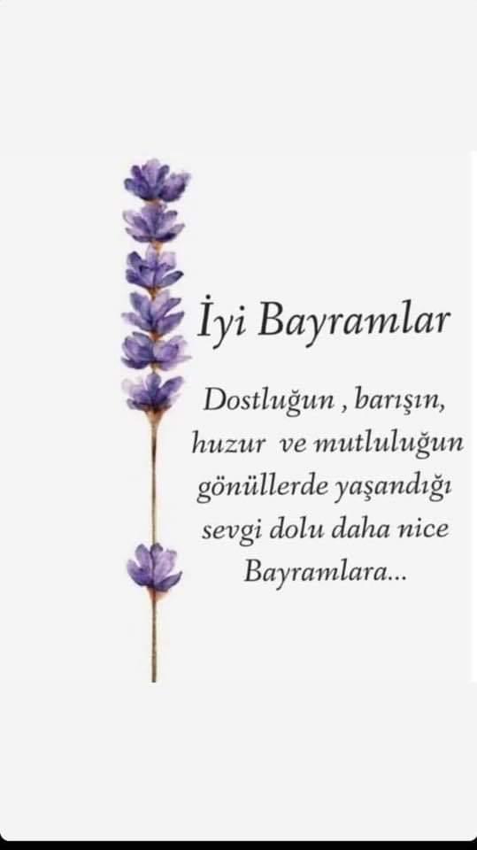 mkocoglu53's tweet image. 