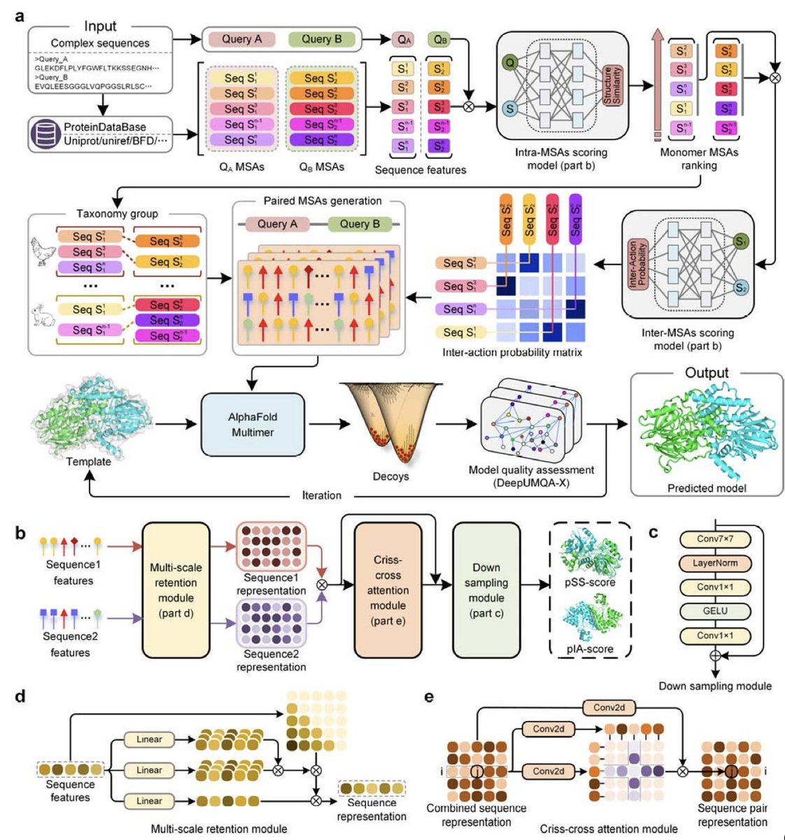 High-accuracy protein complex structure modeling based on sequence-derived structure complementarity  

1. This study presents DeepSCFold, a deep learning-based framework that enhances the accuracy of protein complex structure modeling by utilizing sequence-derived structural