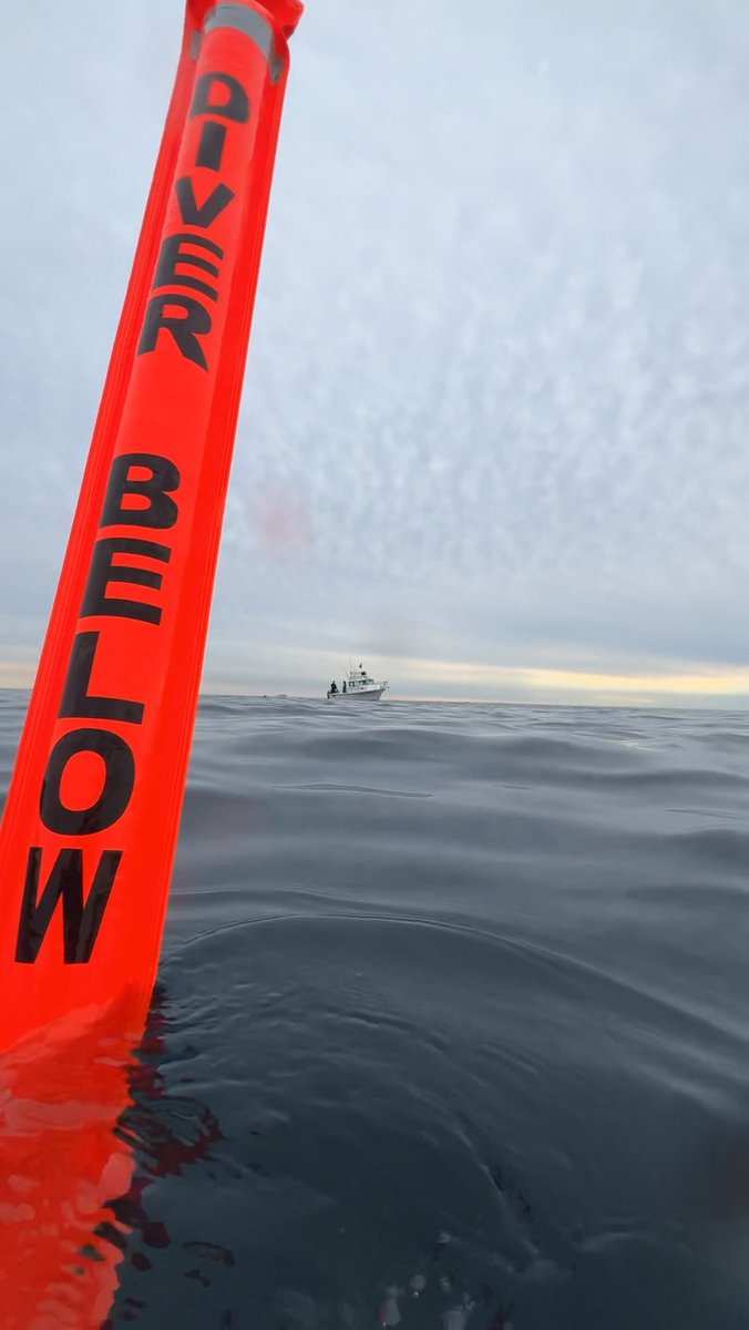 Have you ever been in the open ocean, with no land in sight? 

😍❤️