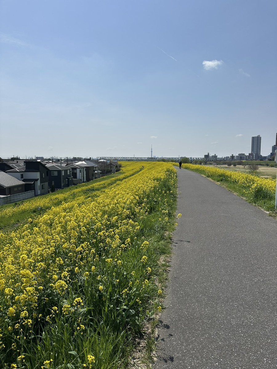 segitake's tweet image. 流石に凄いんですけど