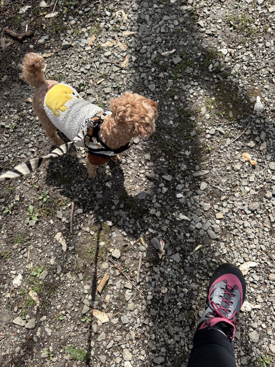 「べるこ」と仲良くなるため（靴ならし）のためやって来た！