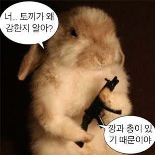 복동☘️ (@bokdong_pv) on Twitter photo 