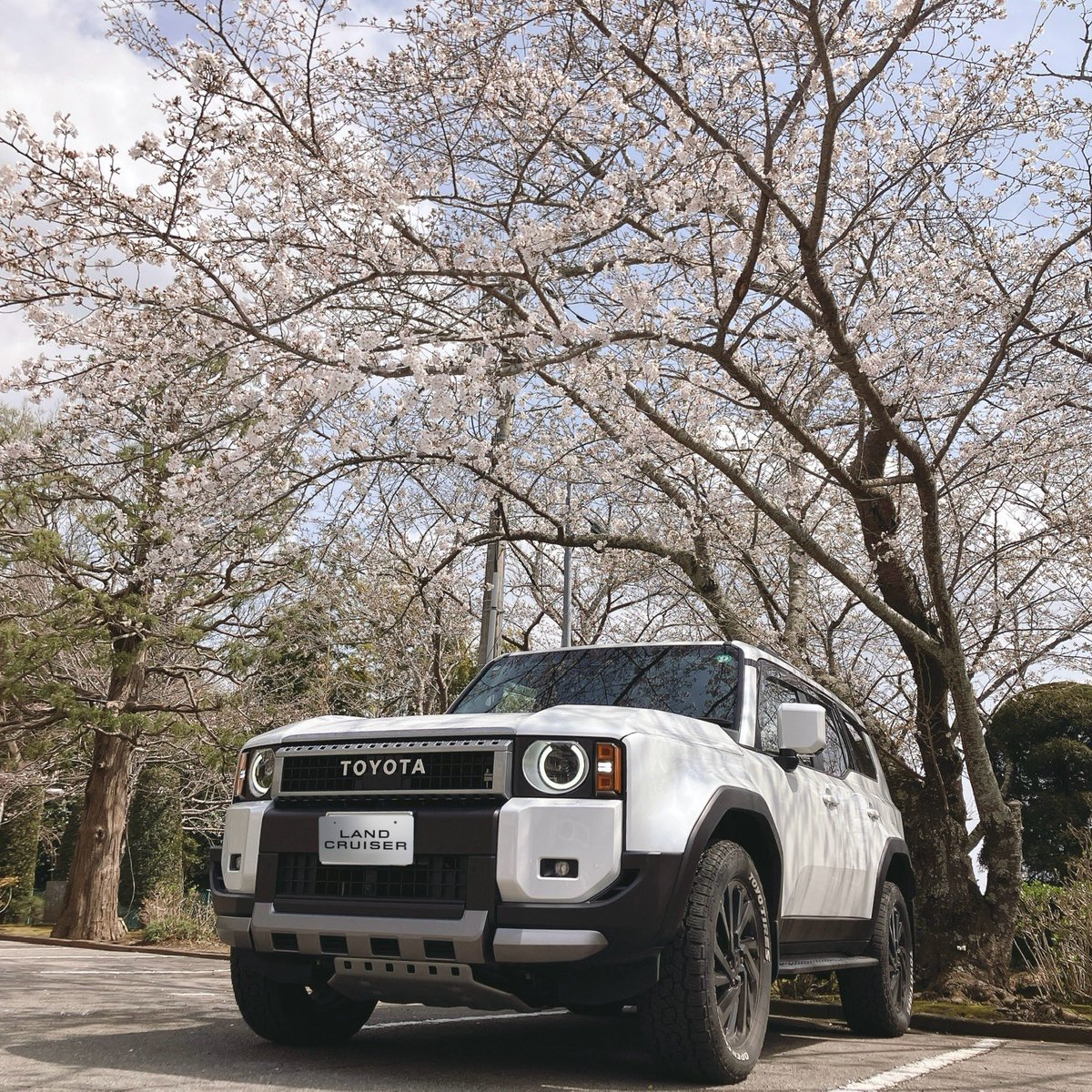 🌸