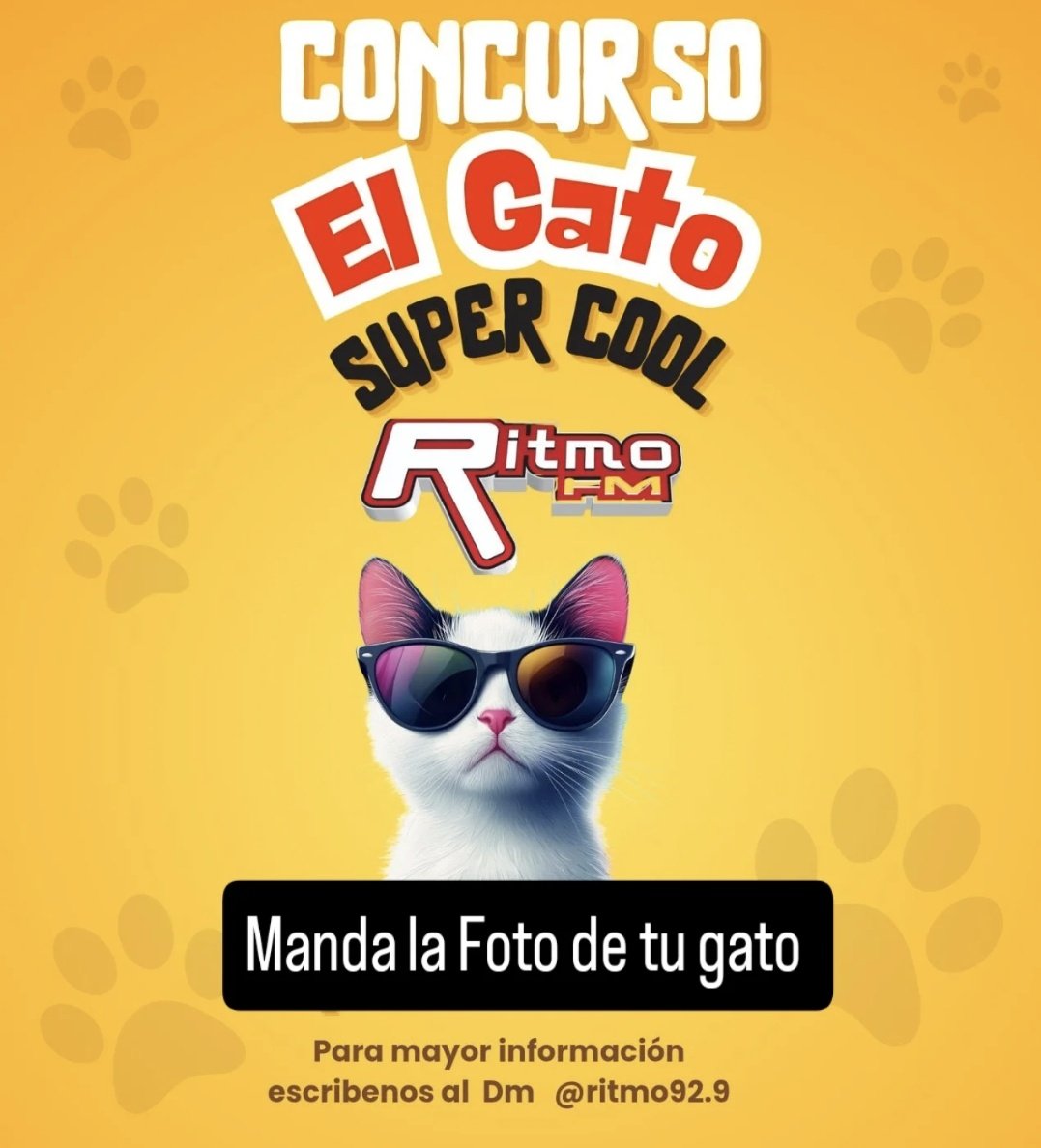 Inscribe a tu Gato Y Participa En El Concurso