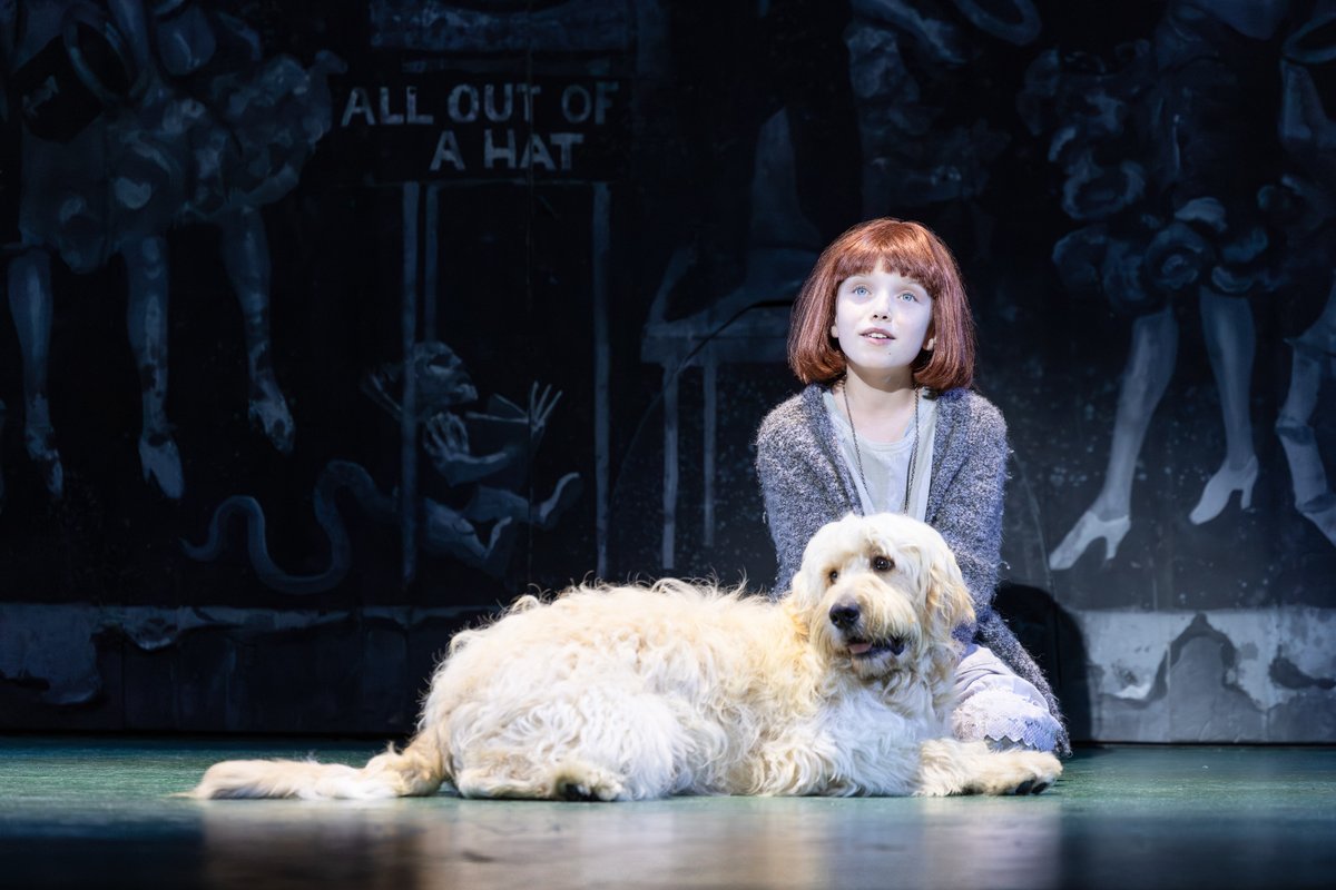 Producer John Frost of Crossroads Live just announced that the ever-popular musical Annie is coming to the Lyric Theatre at QPAC this December!

aussietheatre.com.au/news/annie-ann…

#Annie #Brisbane #BroadwayMagic #LiveTheatre #QPAC #AussieTheatre