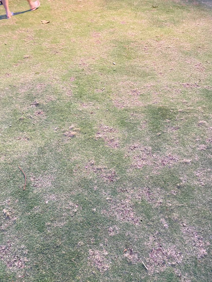 Ekubo Intern tweet media