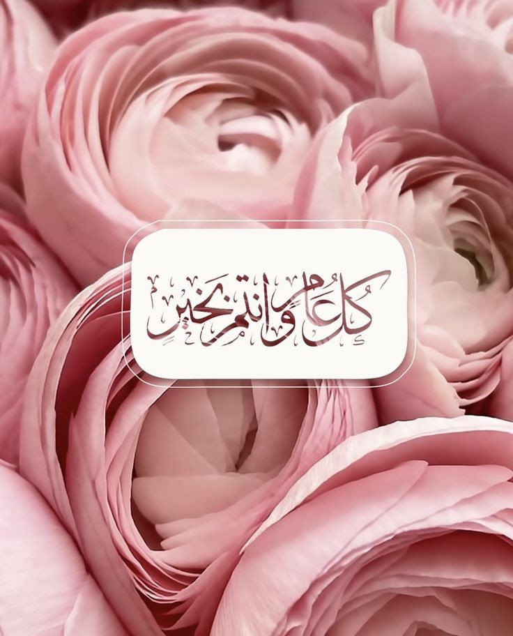 hellen sb🌹 (@hellensb1) on Twitter photo 