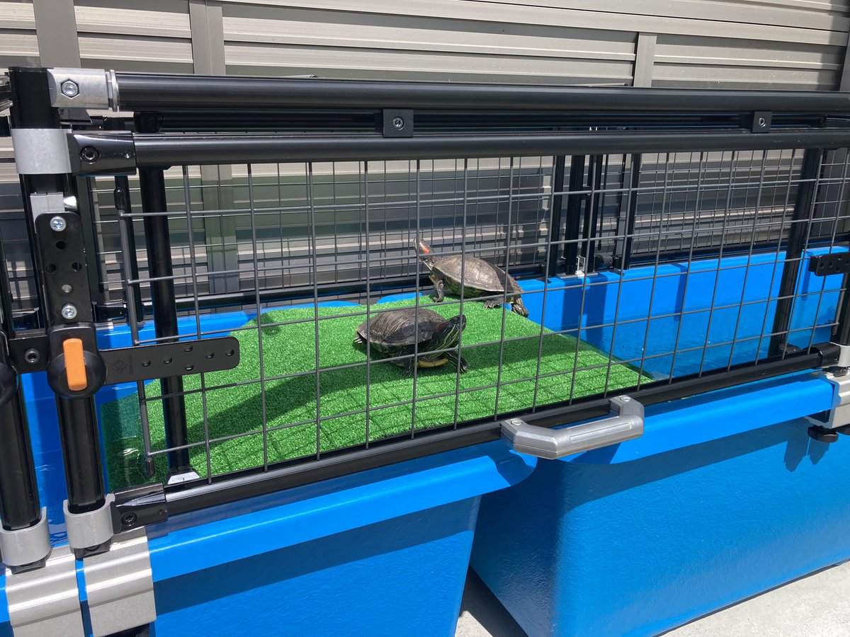 約2ヶ月かけて庭にカメ用水槽が完成

土台→FRP水槽設置(1500mm×2台)→アルミフレーム&amp;渡り土台組み立て
正面を開閉式にしたりアクリル天板で日当たり良くなど結構機能的に
飼うのは普通のアカミミガメ達なんですけどね😅
タライで長く飼っている子を広い水槽で泳がせてあげたくて作成に至る