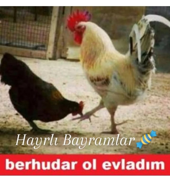 Abdullah DEMİRBAŞ (@abdullahdmrbas) on Twitter photo 