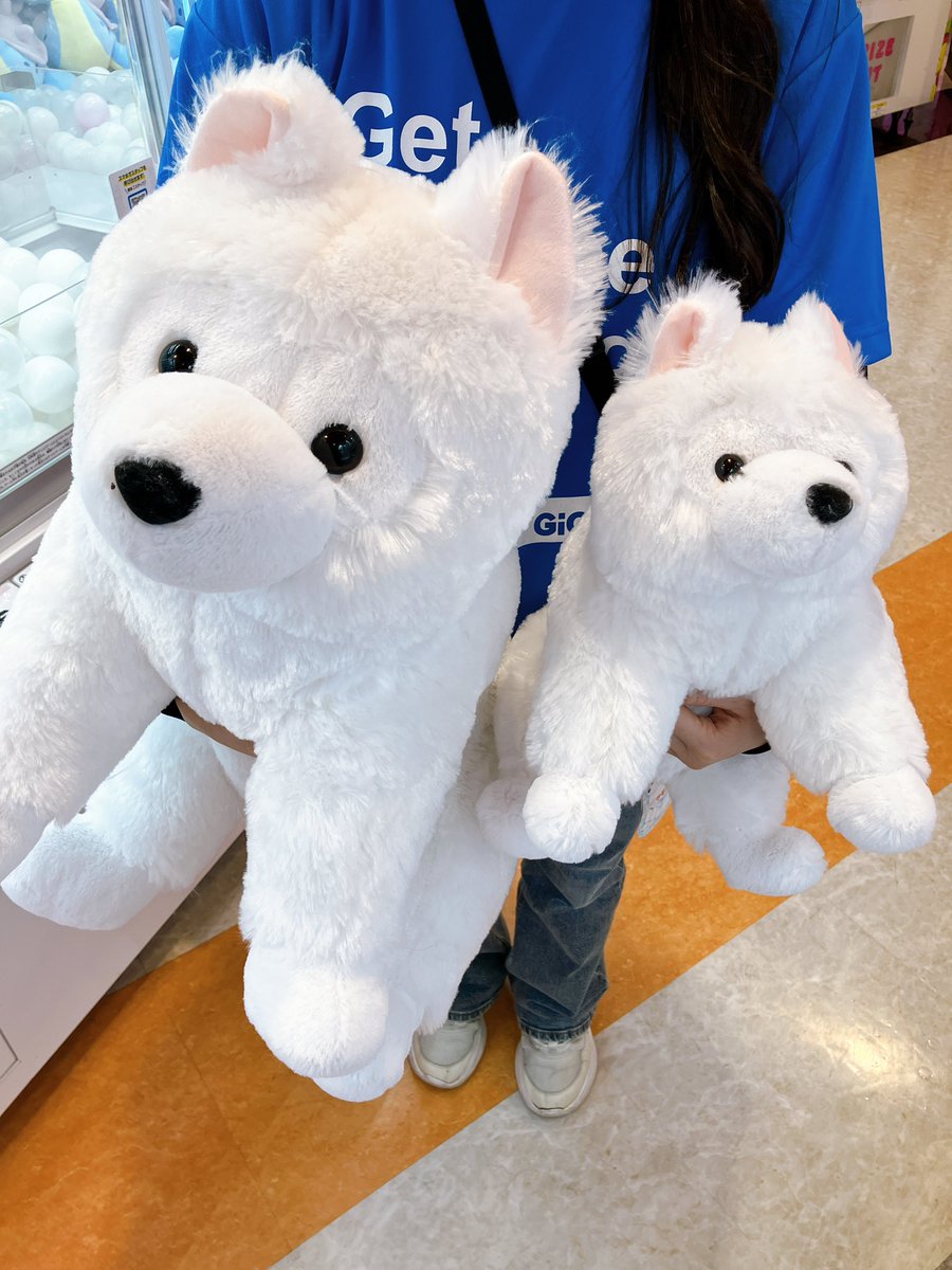 くったりサモエドくん JB 👾 ＼#タイトー限定 プライズ／ くったりサモエドの赤ちゃんコンパクト