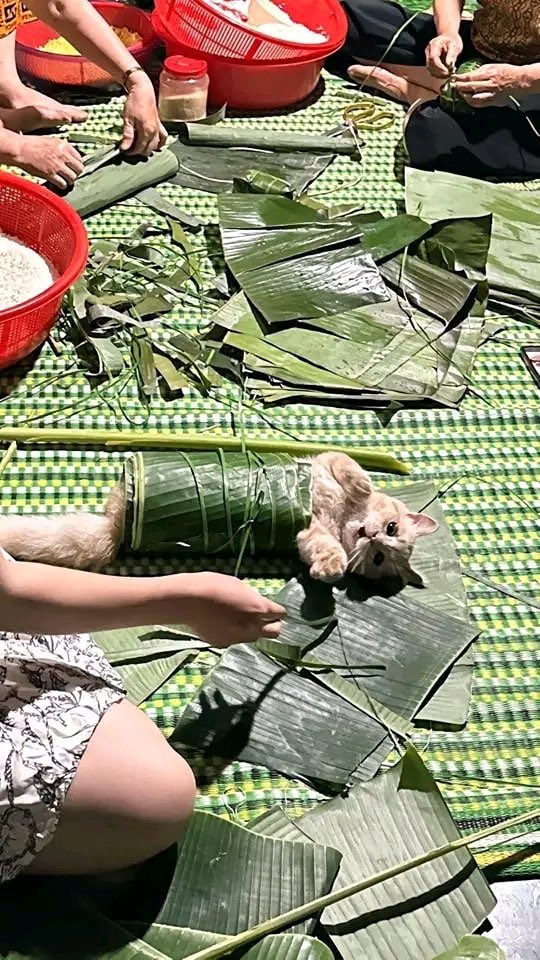 Buras ready