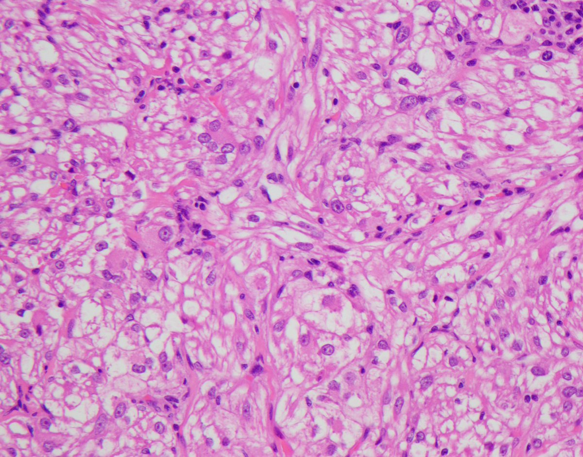 Anthony J Gill tweet media