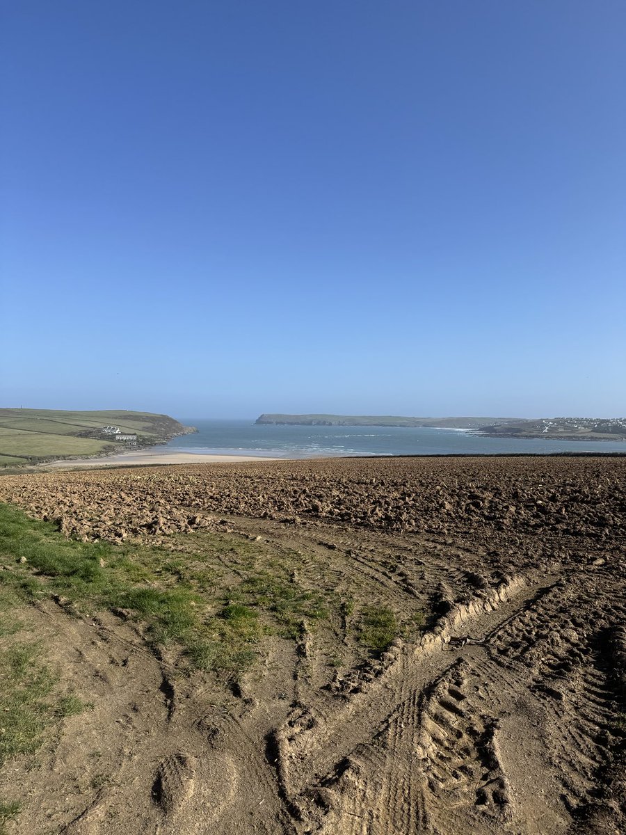 padstowharbour's tweet image. Stunning morning and not cloud in sight at the moment #padstow#harbour#bestplace