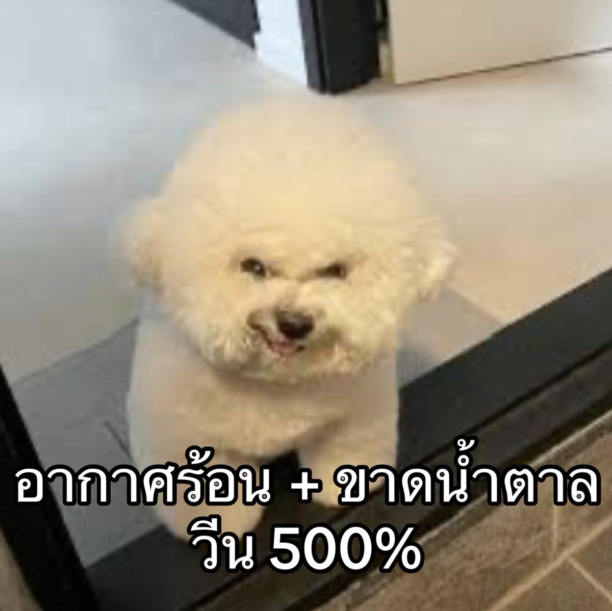 ความจริงเป็นที่สันดาน แต่ขอโทษอย่างอื่นละกัน