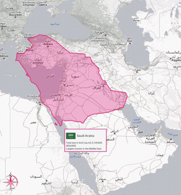 كولومبوس 🐪 tweet media
