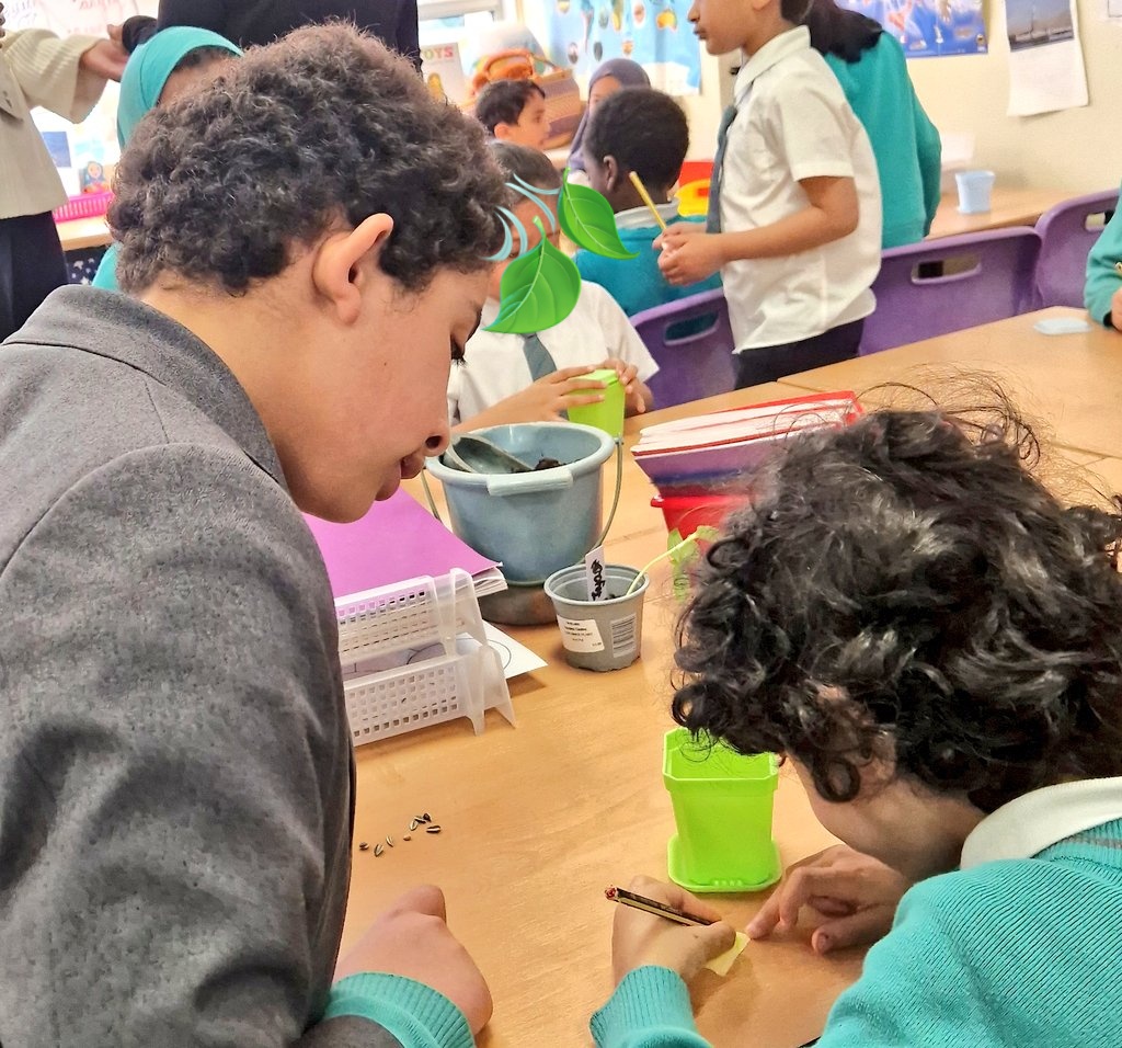 CSmithArkTindal's tweet photo. I am so proud of our Year 6 gardeners 💚.  We visited Year 1 for a Q&amp;A about the work we do in the garden and helped them to plant their sunflower seeds. They were fantastic teachers! #greenfingers #gardeningclub @arktindal @The_RHS @EcoSchools @MissKingTindal https://t.co/lOodFgD3VY