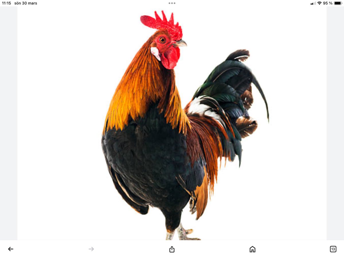 Tips_Tony's tweet image. 🥁🥁🥁 TRE RAKA 13-RÄTTARE! 
Igår var det ”TUPPEN” som slog till! 
💰 Söndag - 60.885kr 
💰 Tisdag - 86.040kr 
💰 Lördag - 68.865kr 
Nya chanser redan idag på Svenska Spels hemsida. Gå in på Butiksandelar. Sök på Gustavslund.