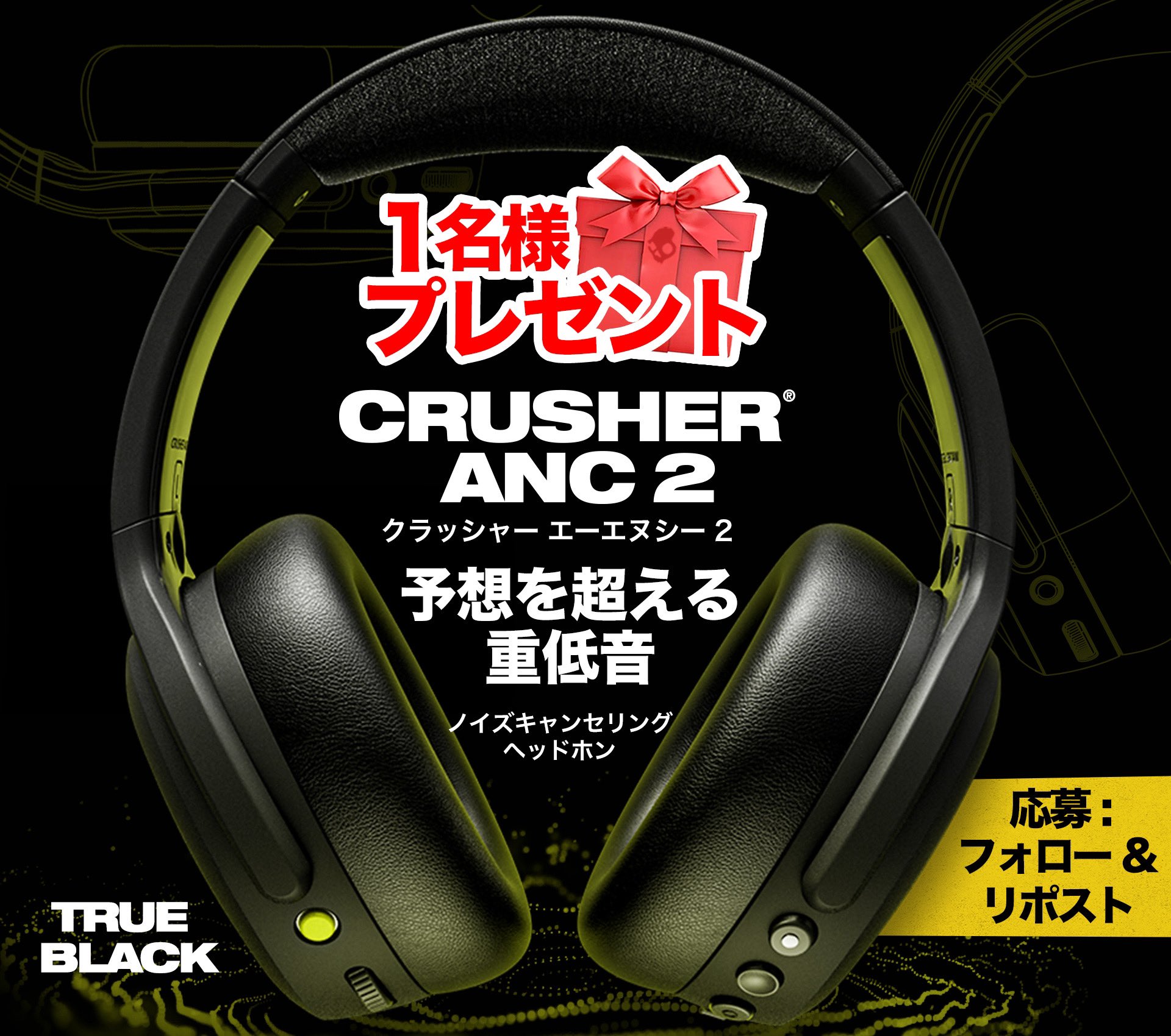 Skullcandy Japan (@SkullcandyJapan) / X Skullcandy Japan (@SkullcandyJapan) / X