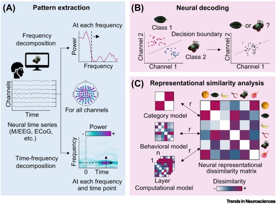 Dr_Alex_Crimi's tweet image. #neuraldecoding stuff:
Decoding the rhythmic representation and communication of visual contents
cell.com/trends/neurosc…
#neuroscience #AI