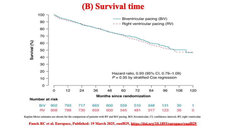 Raviele Antonio (@drraviele) on Twitter photo 📌 In👫anticipated to require frequent ventricular pacing
👉 Biventricular pacing is not superior to RV pacing
#EPeeps #CardioTwitter #cardiacpacing #CRT <a href="/narrowQRS/">JMC</a> <a href="/SeguraCardio/">Diego Segura-Rodríguez</a> <a href="/KennethEllenbo1/">Kenneth Ellenbogen</a> <a href="/Hisdoc1/">Pugal Vijayaraman</a> <a href="/drjohnm/">John Mandrola, MD</a> <a href="/JagSinghMD/">Jag Singh</a> <a href="/DrJasonAndrade/">Jason Andrade</a> <a href="/drrakeshg1/">Rakesh Gopinath</a> <a href="/DhirajGuptaBHRS/">Prof Dhiraj Gupta</a> <a href="/EJSMD/">Edward J Schloss MD</a> 📌 In👫anticipated to require frequent ventricular pacing
👉 Biventricular pacing is not superior to RV pacing
#EPeeps #CardioTwitter #cardiacpacing #CRT <a href="/narrowQRS/">JMC</a> <a href="/SeguraCardio/">Diego Segura-Rodríguez</a> <a href="/KennethEllenbo1/">Kenneth Ellenbogen</a> <a href="/Hisdoc1/">Pugal Vijayaraman</a> <a href="/drjohnm/">John Mandrola, MD</a> <a href="/JagSinghMD/">Jag Singh</a> <a href="/DrJasonAndrade/">Jason Andrade</a> <a href="/drrakeshg1/">Rakesh Gopinath</a> <a href="/DhirajGuptaBHRS/">Prof Dhiraj Gupta</a> <a href="/EJSMD/">Edward J Schloss MD</a>