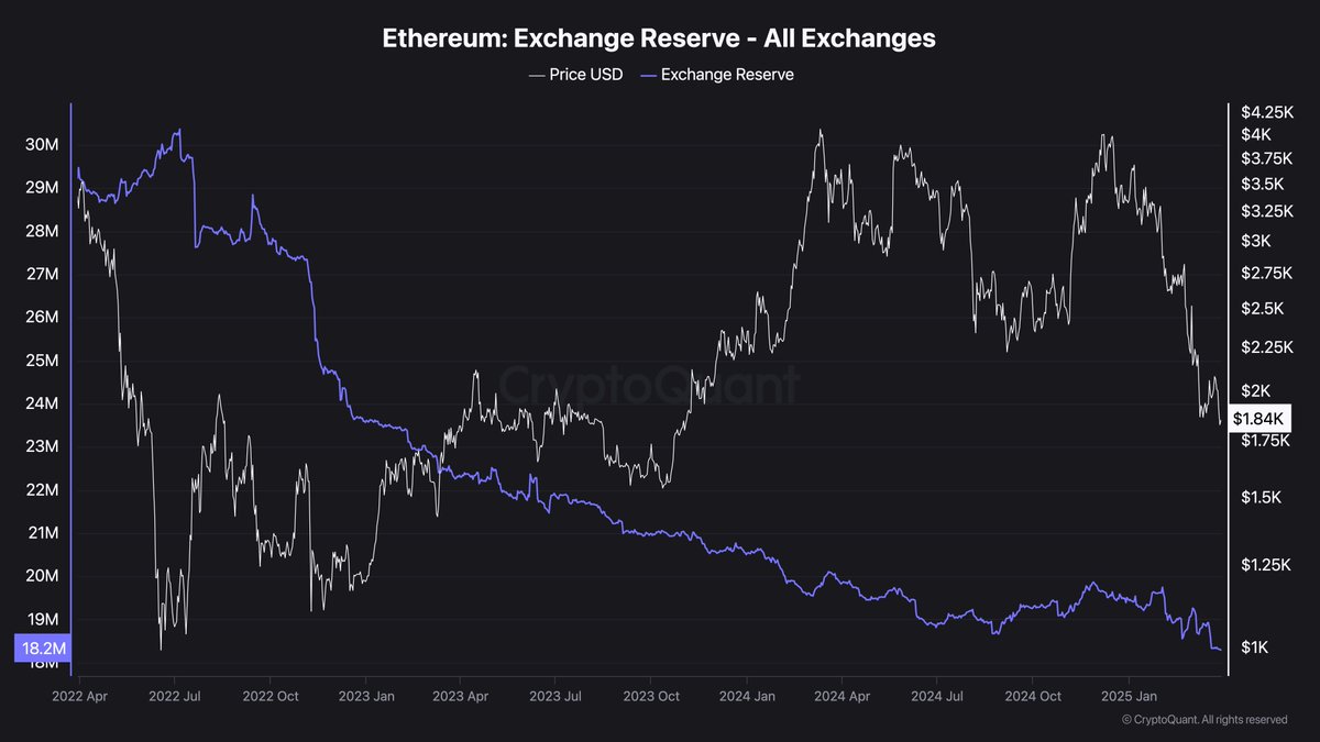 CryptoGoos tweet media