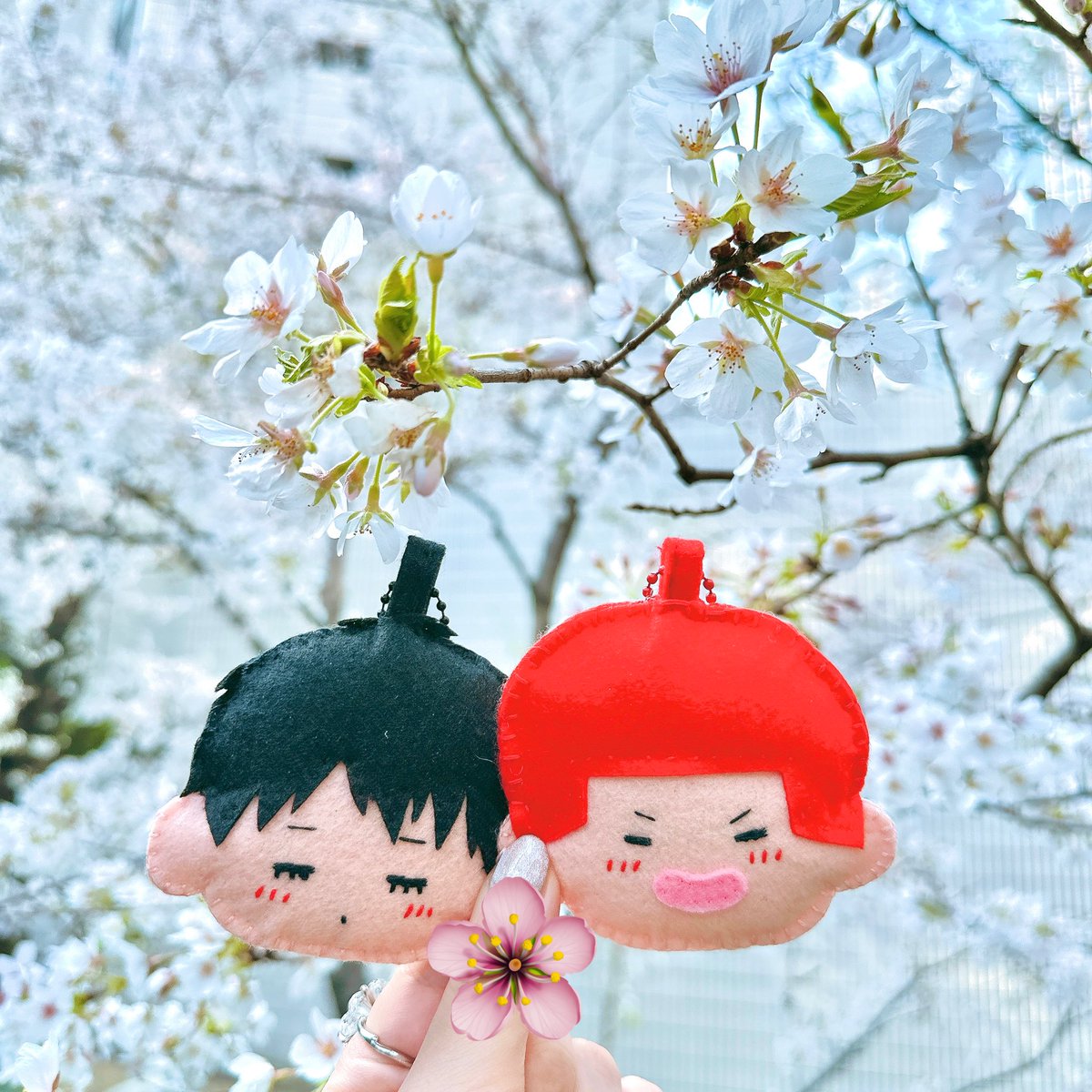 今年もるはちゃんと桜🦊🌸