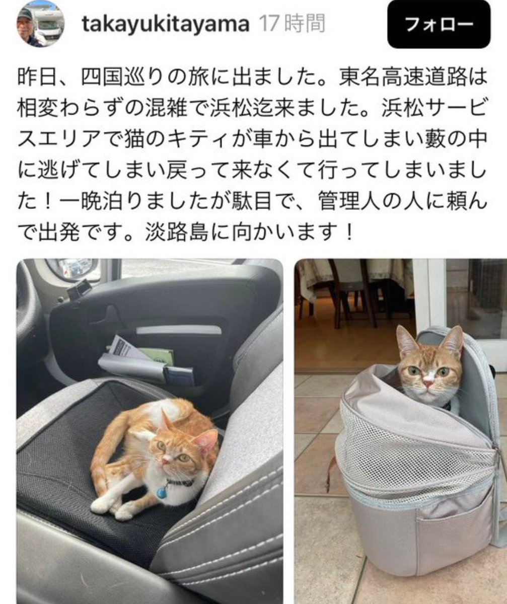 たしの猫 サンスター文具 ねこに転生したおじさん ダイカットポストカード