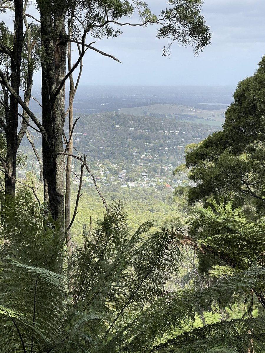 Mushroomdoesno1's tweet image. 不思議なタイミングでお声がかかったのでした。

メルボルンのkokoda track memorial walk (1000 steps)を再び歩きました。以前家族で歩いた時に気付かなかったことも。そこに行くことになるとあの時には思わなかったな〜とグッと胸にくるものがある日曜日☺️

#kokoda 
ｱﾘｶﾞﾄﾈ♡