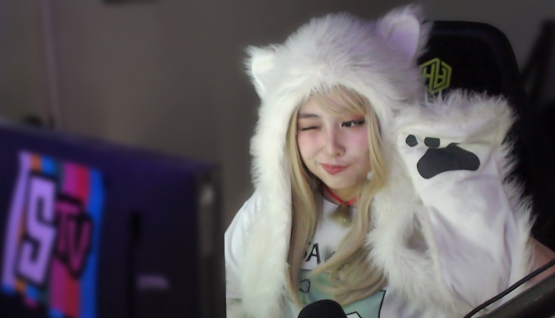 karlishgg's tweet image. Meow or growl? 👀 #Boxcat