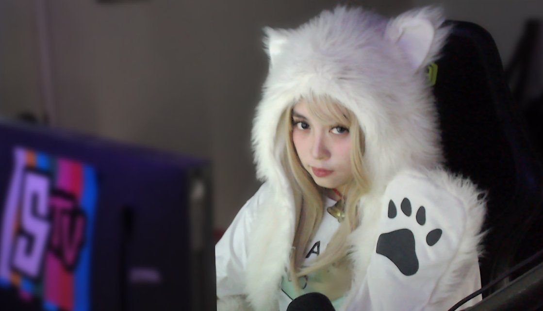 Meow or growl? 👀 #Boxcat