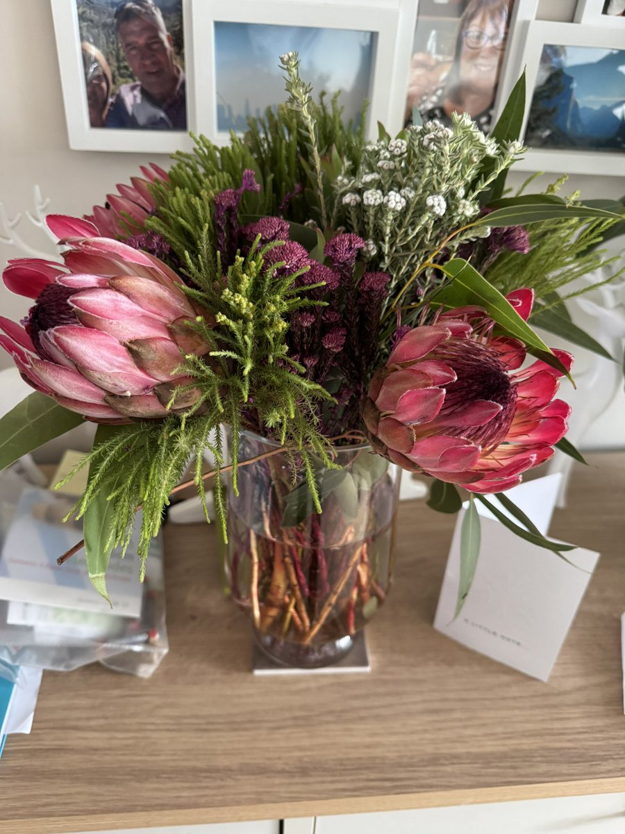 Gail Stewardson tweet media