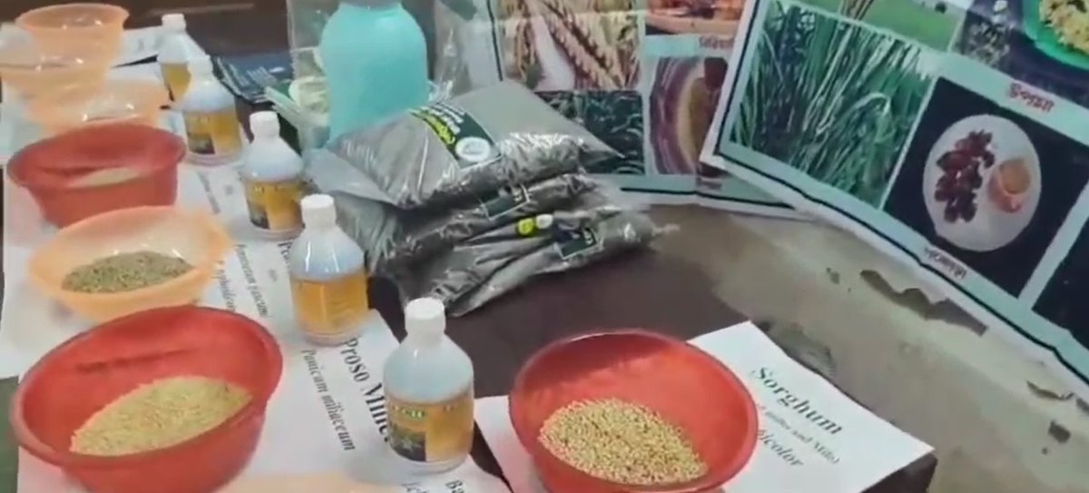 ICAR-ATARI Kolkata (Zone-V) (@atarikolkata) on Twitter photo KVKs of Zone-V Catalyzing Transformation #EverReadyToReachOut- Millet Awareness Programme & Input Distribution <a href="/HowrahKvk/">Howrah KVK</a>🌾
The aroma of millets and the promise of prosperity – tiny grains, mighty happiness!
#OneICAR
<a href="/icarindia/">Indian Council of Agricultural Research.</a>
<a href="/PMOIndia/">PMO India</a>
<a href="/ChouhanShivraj/">Shivraj Singh Chouhan</a>
<a href="/MilletsNews/">Indian Institute of Millets Research (ICAR-IIMR)</a>
<a href="/PIB_India/">PIB India</a> KVKs of Zone-V Catalyzing Transformation #EverReadyToReachOut- Millet Awareness Programme & Input Distribution <a href="/HowrahKvk/">Howrah KVK</a>🌾
The aroma of millets and the promise of prosperity – tiny grains, mighty happiness!
#OneICAR
<a href="/icarindia/">Indian Council of Agricultural Research.</a>
<a href="/PMOIndia/">PMO India</a>
<a href="/ChouhanShivraj/">Shivraj Singh Chouhan</a>
<a href="/MilletsNews/">Indian Institute of Millets Research (ICAR-IIMR)</a>
<a href="/PIB_India/">PIB India</a>