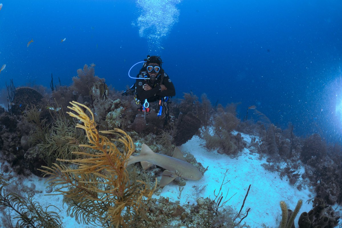 Let's get wet🌊🌊 #scuba #shark