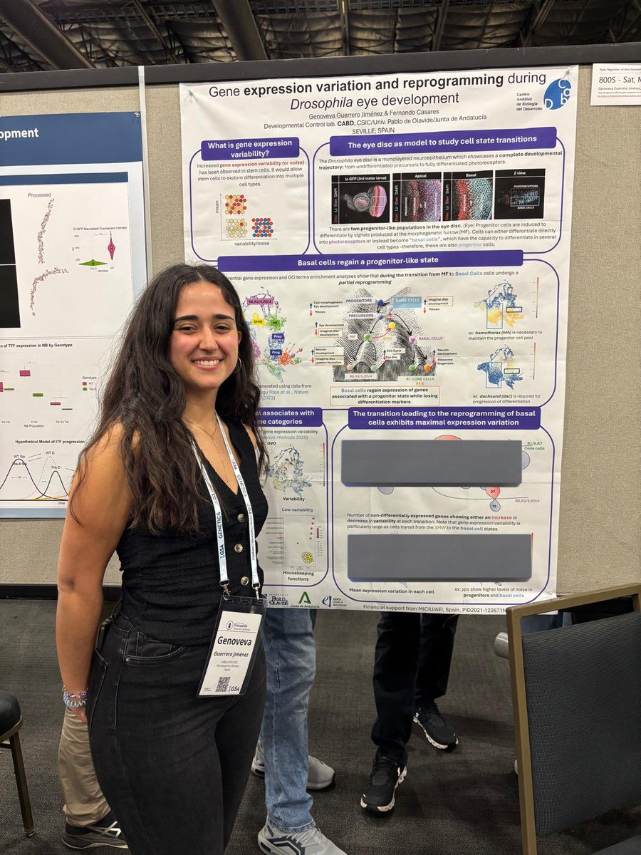 The #CABD was represented at #Dros25, 66th Annual Drosophila Research Conference in San Diego (CA), by Daniel Barcenilla Merino from Hombria’s lab  and Genoveva Guerrero from <a href="/fcasfer/">Fernando Casares</a>’s lab! 
🪰🪰🪰