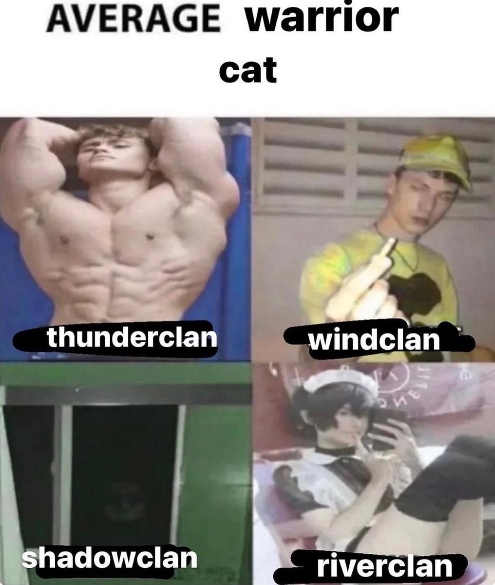 ≧◡≦ tweet media