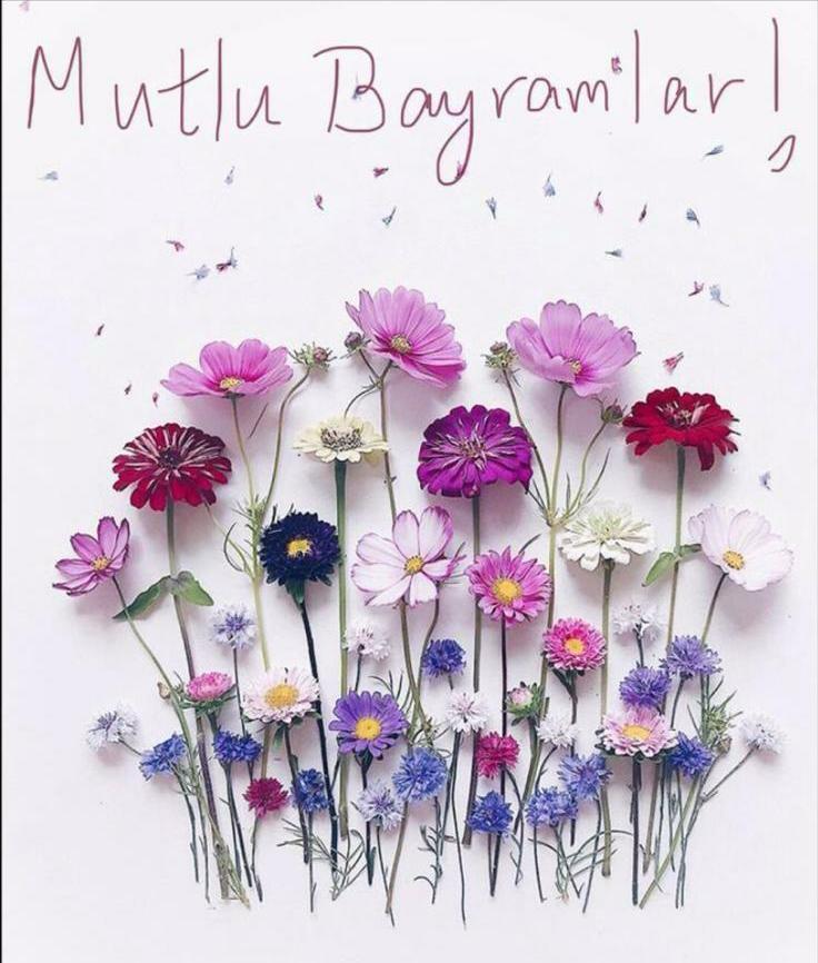 Ramazan Bayramı’nın bereketi, birliği ve huzuru hepimize umut olsun!
STEM eğitimi alanındaki özverili çalışmalarınızla, geleceği şekillendiren nice başarılar temenni ederim.
Bilimin ışığıyla aydınlanan yarınlara birlikte yürümek dileğiyle…

Ramazan Bayramınız kutlu olsun!