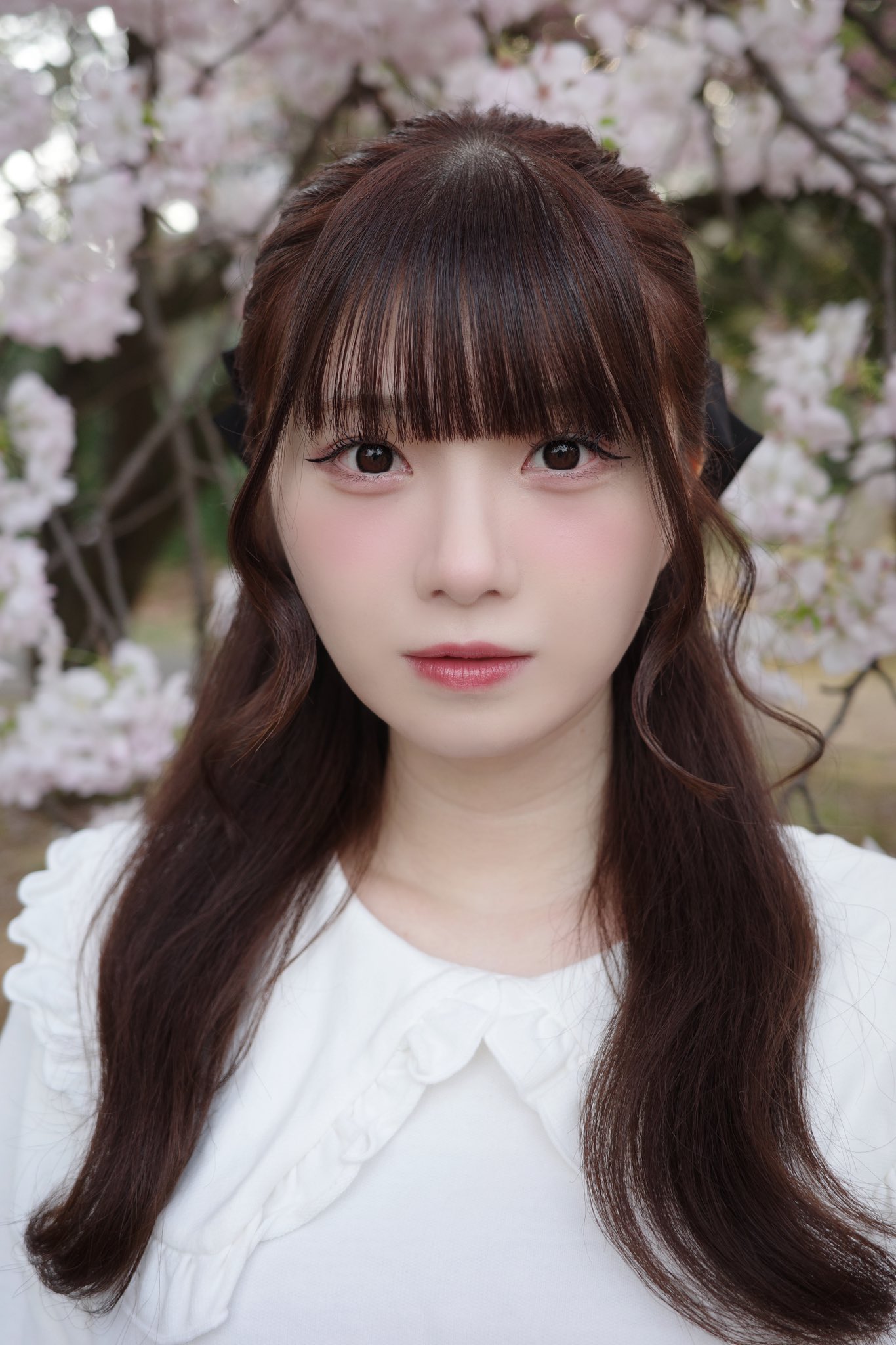 菅波 美玲 on X: 