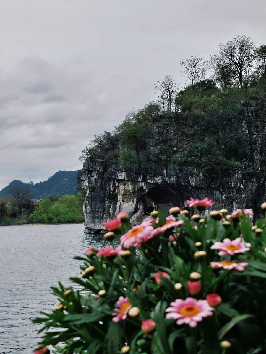 禾木沐牧 tweet media