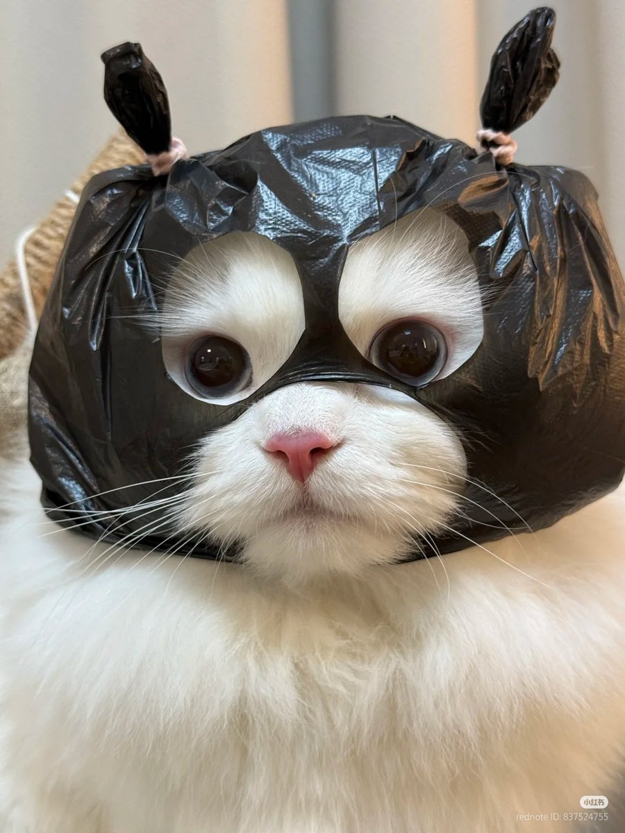 GIMME UR MONEY!!! 🔪