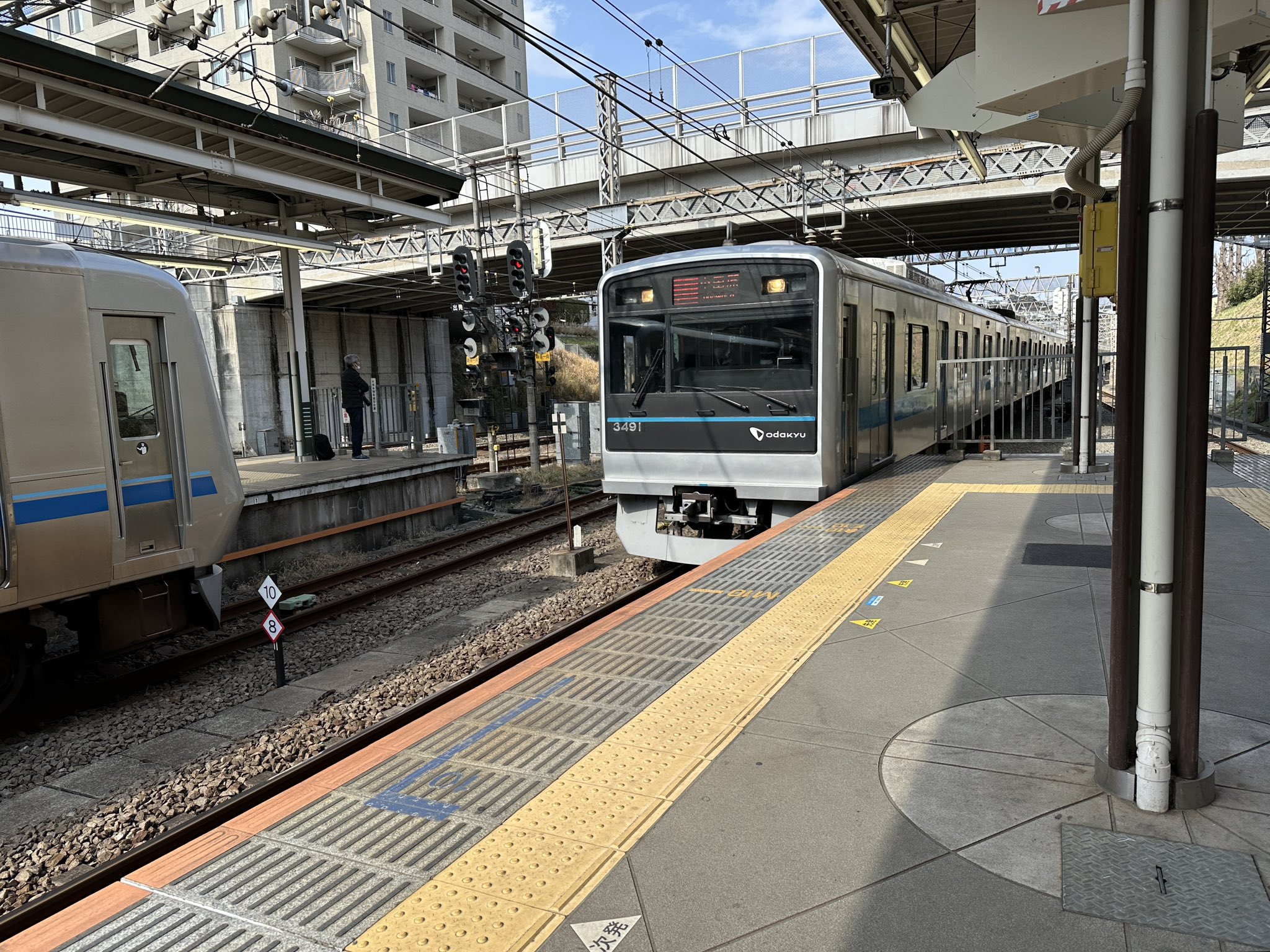 くまはうす on X: 