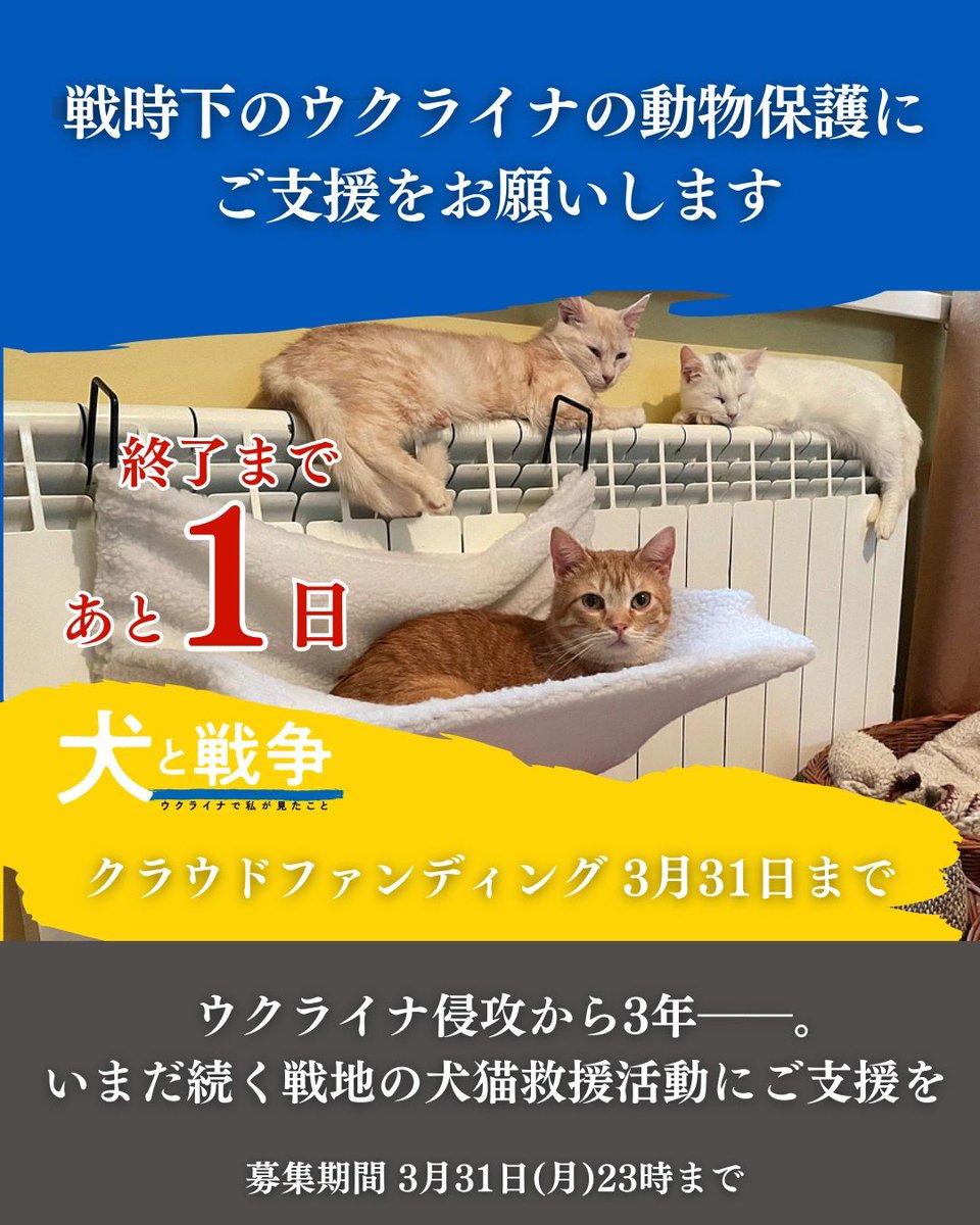 ウクライナ🇺🇦の動物たちへの支援、
明日3月31日までです。この機会にぜひ！

readyfor.jp/projects/UA_an…