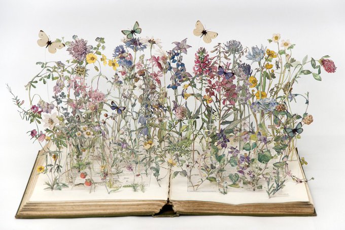 Wild Flowers of the British Isles, 2013 by Su Blackwell, artist who creates paper art out of old books #WomensArt