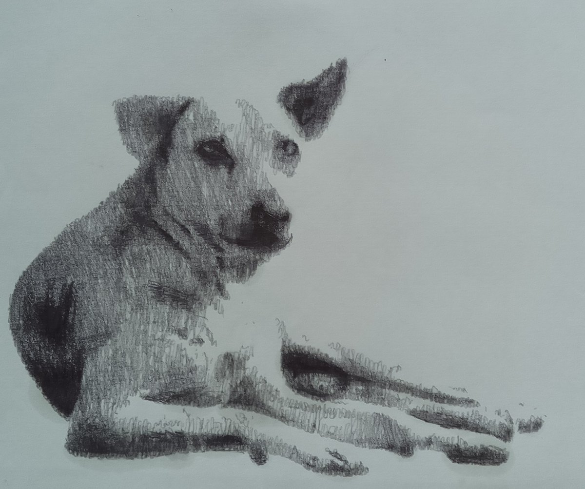 silverlightgal's tweet image. Speaking of human made art, here's something that husband and I have started. Please follow, like, commission, and spread the word! Graphite pencils, pen &amp;amp; ink based artwork. We ship pan India, *with frames*. 

#illustration #pencilart #graphiteart 
instagram.com/nimaarts831