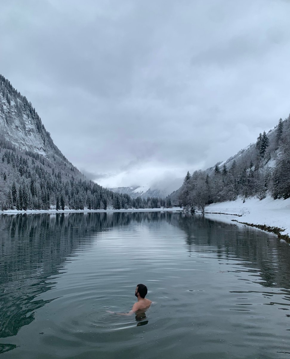 More Mountain tweet media