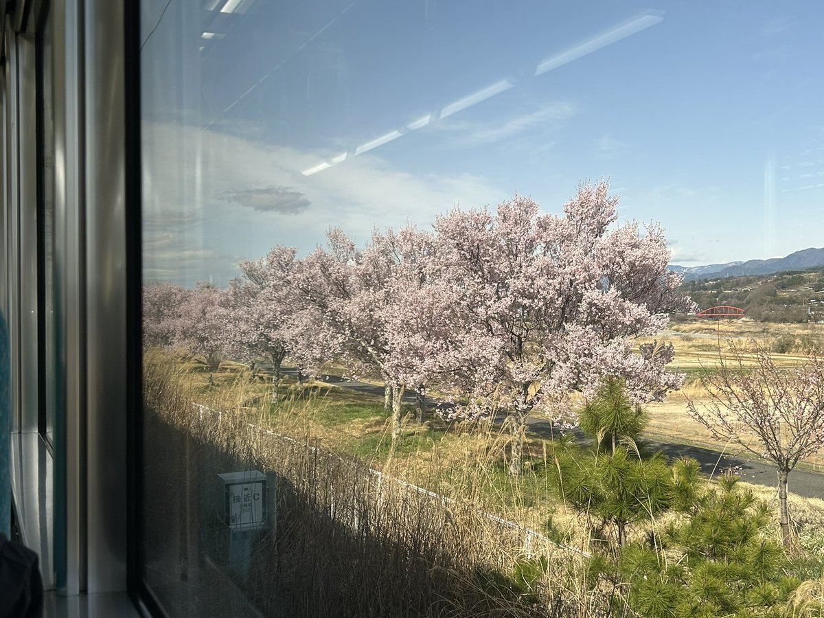 mmt_krr's tweet photo. あら綺麗 https://t.co/0pgJA3xI8F