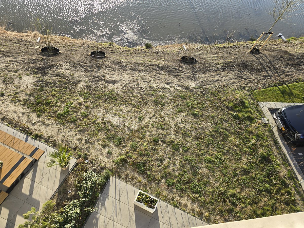 HenkNieuws2026's tweet photo. Het stukje vergeten niemand grond 🤣🤣🙋♂️ Echt hé S-Gravenzande Maar goed Ik heb #ONW wakker gemaakt 🙋♂️ Gr uit #Westland 🙏🏼🇳🇱 Ben benieuwd nu 🤓 https://t.co/zjo9xbfipq