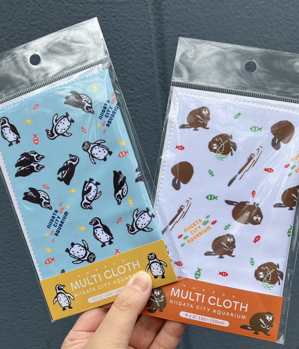 marinepiaheart's tweet image. 🌟新商品🌟
オリジナルマルチクロス
フンボルトペンギン、アメリカビーバー
気になる所を簡単にお手入れできる
マルチクロスが新発売しました‼️
スマホなどの液晶画面やメガネのお手入れに大活躍します😊
プレゼントにもぴったりです🎁
#新潟
#水族館
#マルチクロス