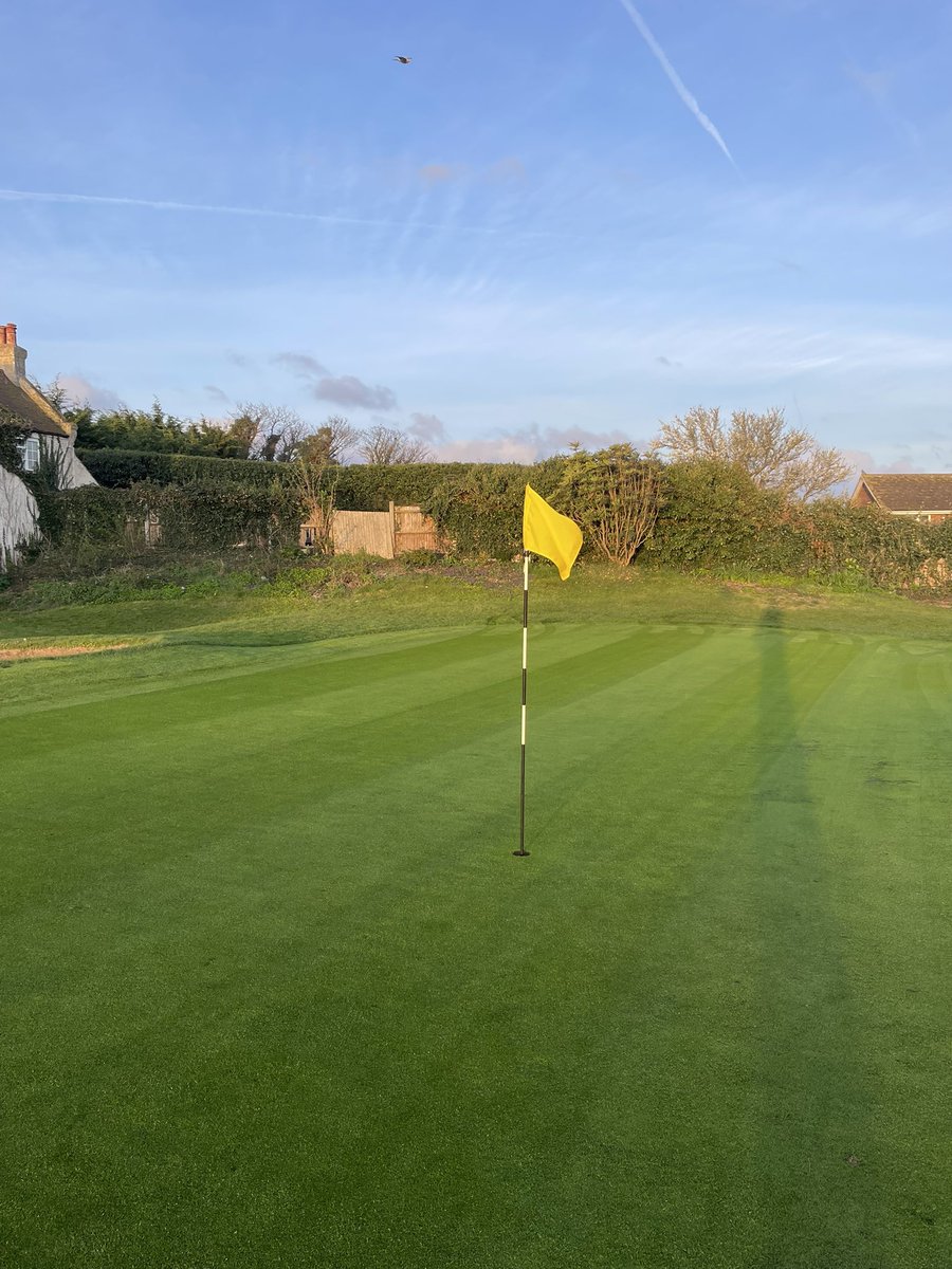 One of our weaker greens showing great signs of recovery - adjusted seed, fert and traffic management programmes working their magic 🪄